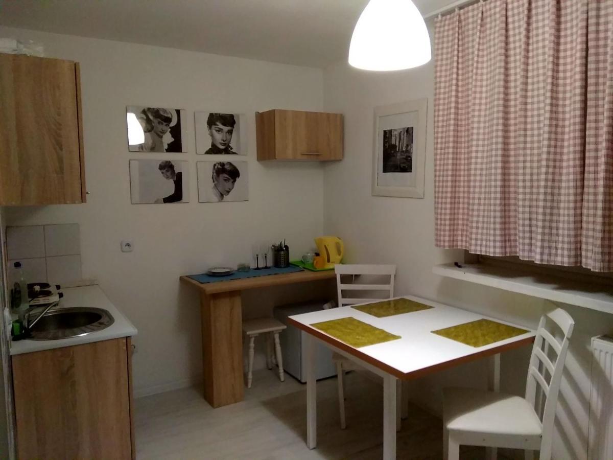 Apartment Jasny Plock