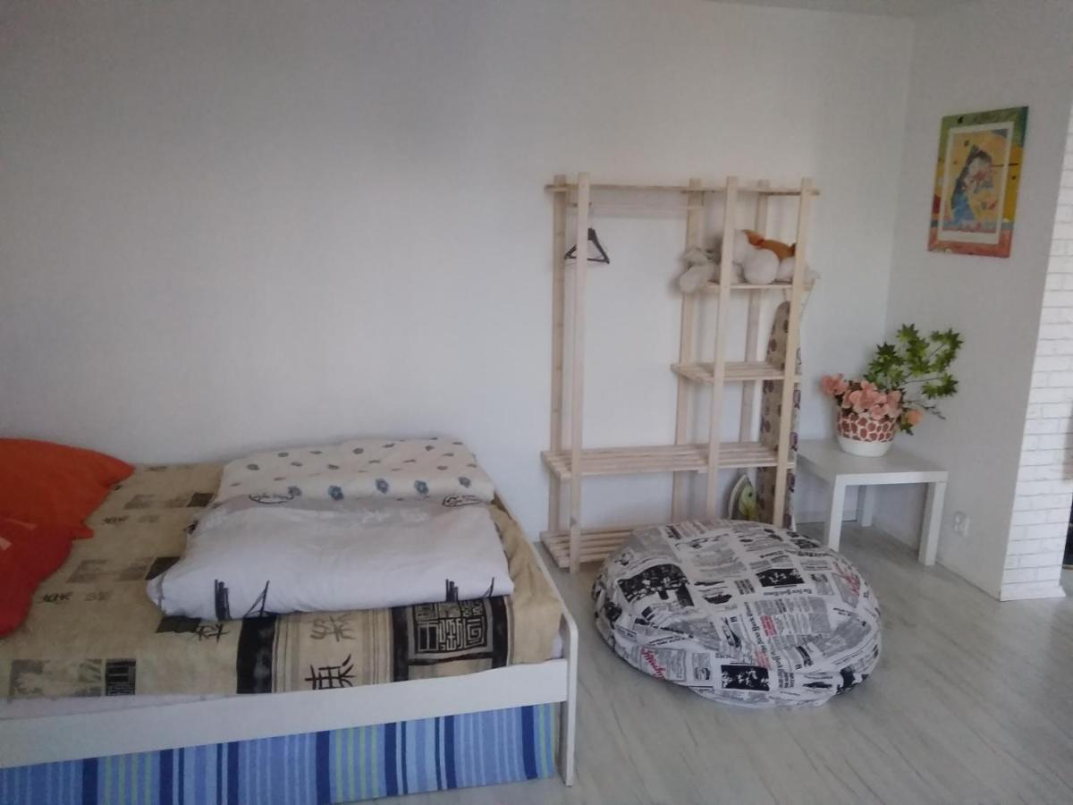 Jasny Apartment Plock
