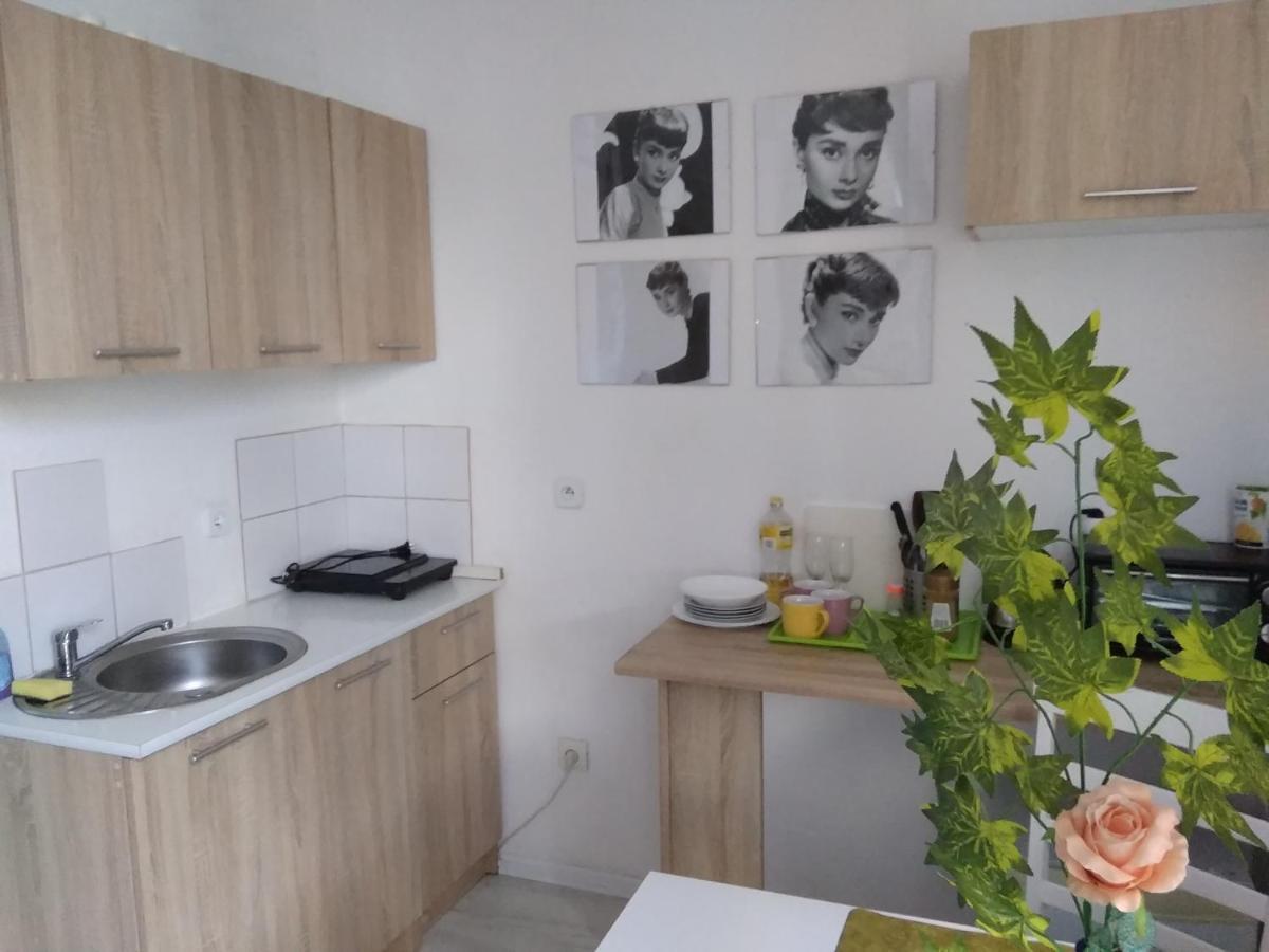 Jasny Apartment Plock